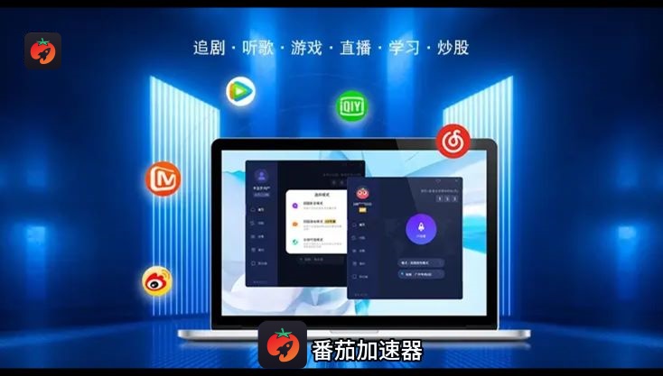 归雁加速器不能用了吗？先分清服务状态、账号和本地故障